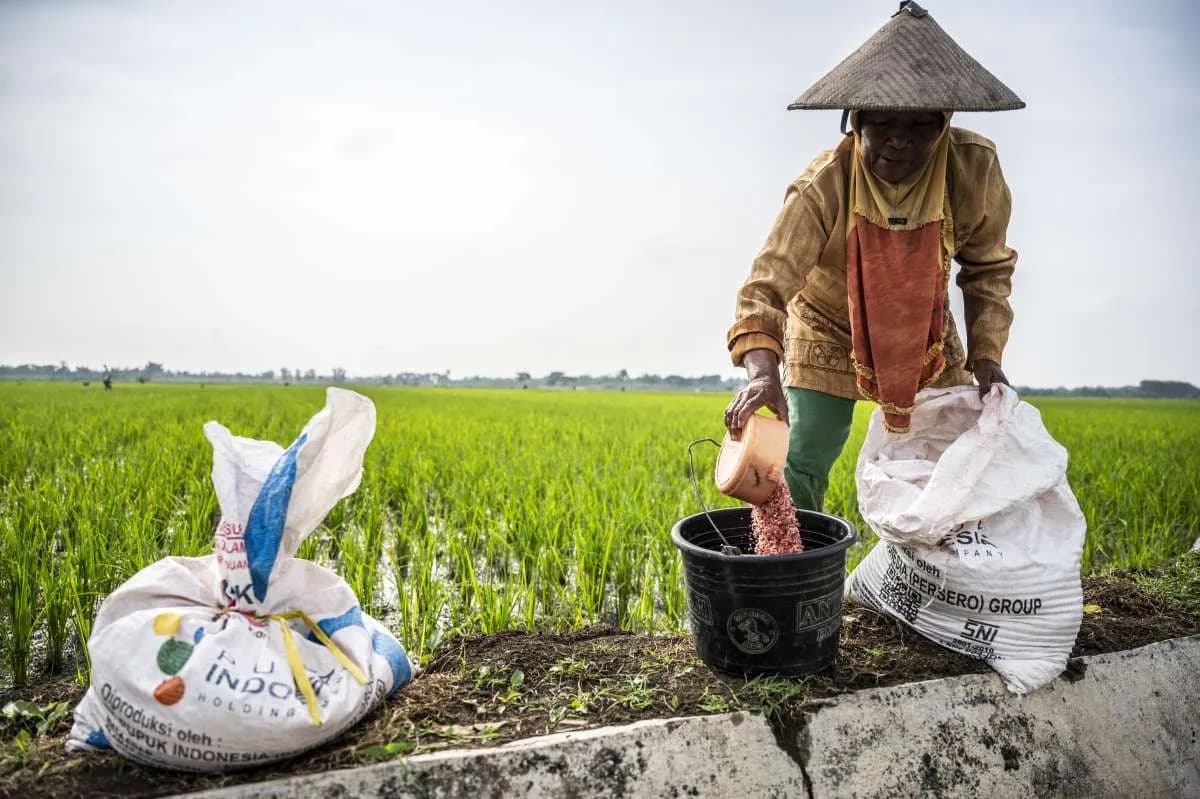 Analisis Mendalam: Tantangan Logistik Pupuk di Periode Kritis Musim Tanam 2025