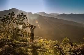 Mengapa Kita Berlari dari Layar? Analisis Psikologis dan Ekonomi di Balik Ledakan Wisata Tanpa Teknologi