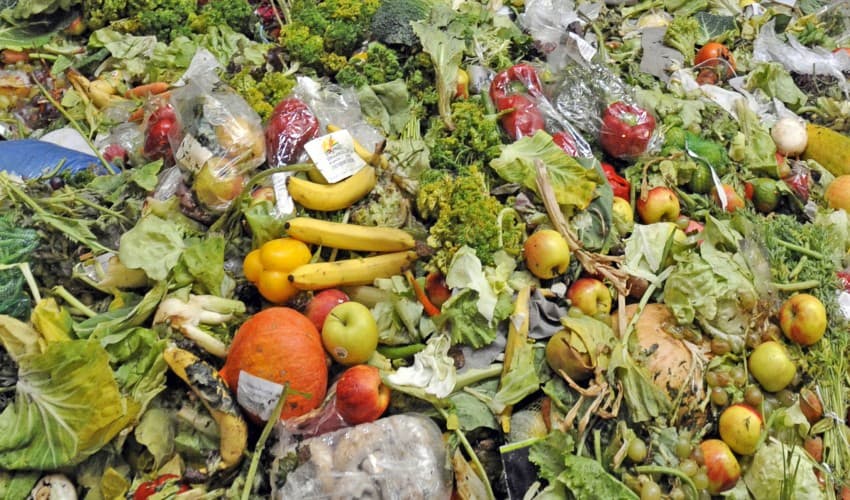 Mengurai Jejak Ekologis: Dari Pola Konsumsi Hingga Tanggung Jawab Individu di Era Modern