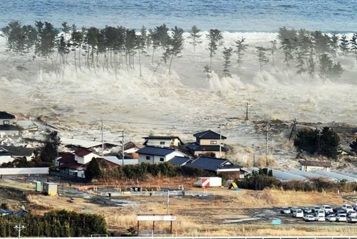 Mengurai Instruksi Darurat: Strategi Bertahan Hidup Ketika Sirine Tsunami Berbunyi